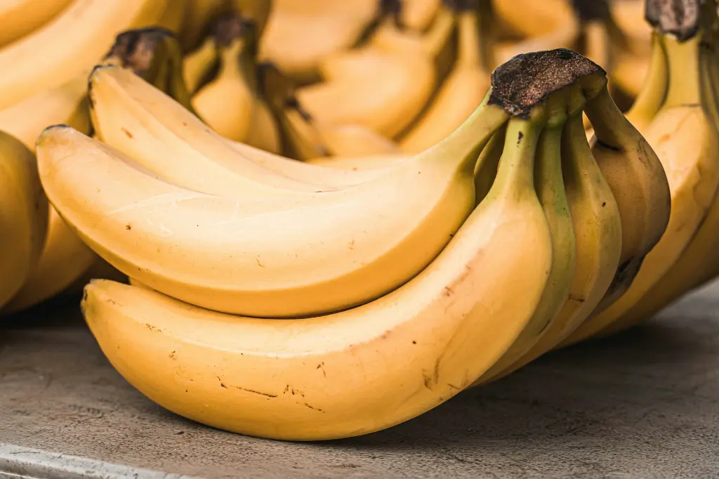 unsplash_KY91i84ybVg_platanos.webp